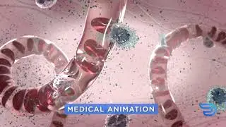Digimata Animation Studios Demo Reel 2020