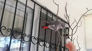 ÇAKILIMDAN BAYRAM ÖNCESİ ÇEŞİTLEMELER 2