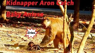 Breaking Heart! Poor Baby Anissa Was Kidnapped By King Aron, Anissa So Terrified & Cried So Loudly.