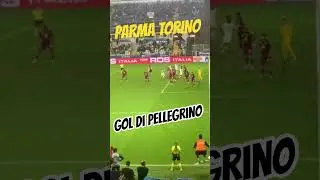 LIVE DOPPIETTA DI PELLEGRINO - PARMA TORINO 2-1 🔥