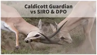 AYNTK Caldicott Guardian