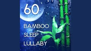 Inner Sleep Journey