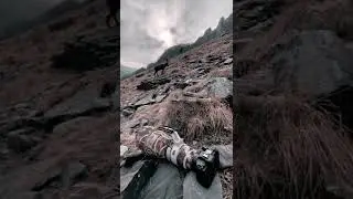 markor whatsapp status | WILD LIFE | World travel | #animals #shortsvideo #wildlife #shorts