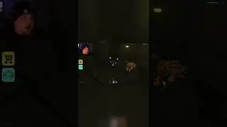Rats!