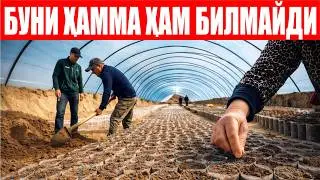 Тарвуз кўчати тайёрлашда Кўкдала тажрибаси!