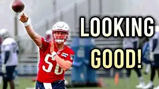 Mac Jones Training Camp Reaction - Looking Good!