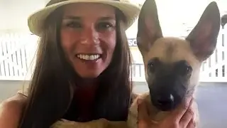 Danica Patrick - Testimonial for Paladin Executive Protection Dogs