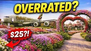 Is Dubai's Miracle Garden Worth Visiting?