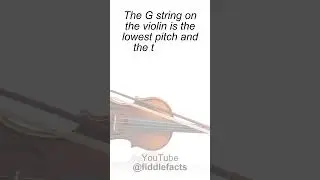 100 FUN FIDDLE FACTS - Please subscribe.  #shorts #short #violin #fiddle #facts #fun