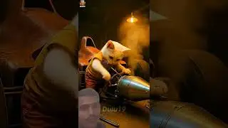 Cat with  dog racing car #shorts #shortvideo #funny #kawserahmed