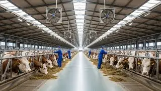 The Hidden World of Cow Leather Production: Factory Floor Walkthrough