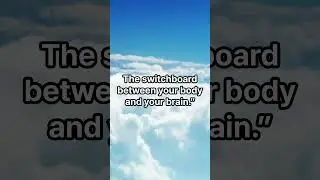 🔥Struggling With Anxiety? Do This for 30 Seconds 🧠🔥 (It Works Instantly!)