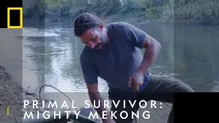 How To A Build A Raft From Scratch | Primal Survivor: Mighty Mekong | National Geographic UK