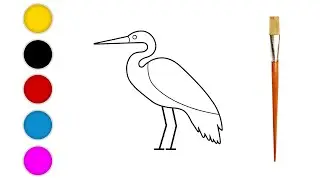 Heron drawing and color
