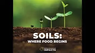 Collaborative research projects improve soil health