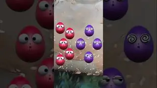 Why EggHit ran away😱
