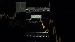 what is Accumulation Manipulation And Distribution in trading #shorts #forextrading