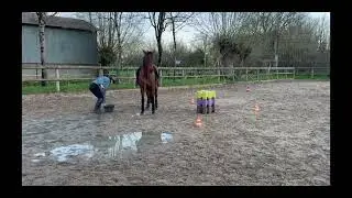 Equifeel Virtuel - Montée 2 - Manche 1