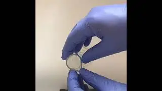 2  Probeta