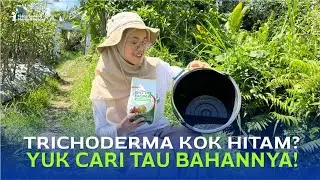 Bahan Pembawa Trichoderma pada Bio Sigma Plus | Penentu Kualitas Produk Agen Hayati!