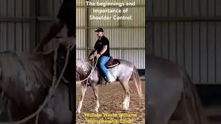 The beginnings and importance of shoulder control #horse #horsemanship #horselovers #horseriding