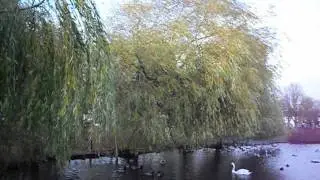 Samsung PL90 camera 640x480 30fps test video