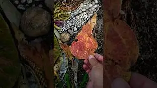 Creating an Iguana with Leaves & Pebbles | Nature-inspired Art #art #shorts