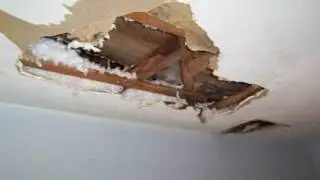 Water Damage Bushnell