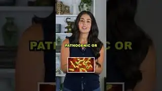 How Fiber Fuels Your Gut Health | Regular Girl
