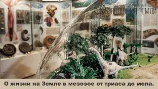 О жизни на Земле в мезозое от триаса и до мела