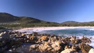 Official Cape Whale Coast