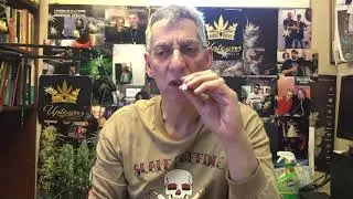 Super Silver Haze Strain Review