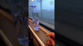 Are bullet trains stable? #shorts