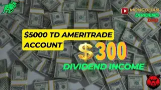 $5000 Dividend Stock Portfolio | Mongolian Dividend DAD|