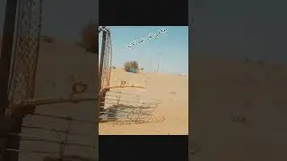 طائر يقع في فخ رغم ذكائه