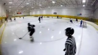 Pigs vs Vipers Nov 8 2016