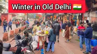 Walking tour of Delhi, Chandni Chowk Market, winter walk, India walk tour