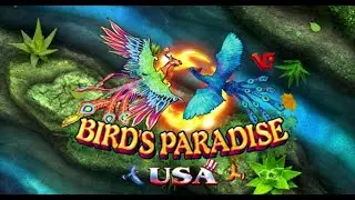 Bird Paradise USA Phoenix Legend USA Bird shooting hunter skill gambling table game machine