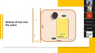 Factor affecting short distance transport-2