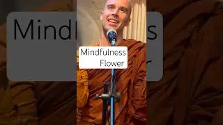 What is Mindfulness | The Product of Right Effort | Bhante Ananda #shorts #mindfulness #buddhism