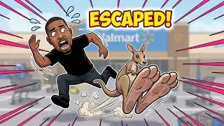 Почему в Walmart оказался кенгуру?