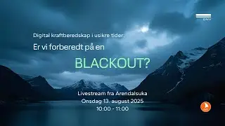 Digital kraftberedskap i usikre tider: Er vi forberedt p&aring; en blackout?