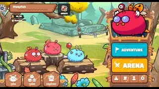 axie infinity - double discard bug