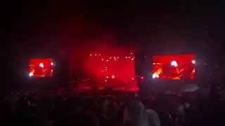 Nem számít | Elefánt @ Fishing on Orfű
