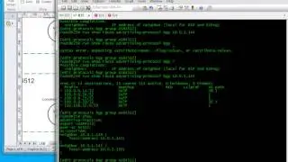 BGP - AS Overide