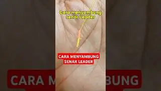Cara Menyambung Senar Leader #knot #fhising #knotlessbraids  #angler #matapancing #mancingmania