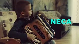 Nemanja Neca Pavlović - Necino Kolo