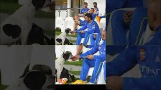 Dhoni feed the dog 🐕 🥺 #mahi #dhoni #csk #cskfans
