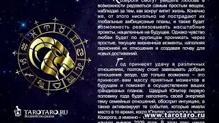 Гороскоп знака зодиака Козерог (capricorn) на 2018 год