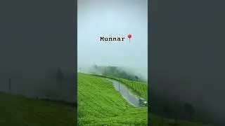 Munnar hill station road kerala 📍#munnar#hillstation#teaplantations#kerala #godsowncountry#shorts